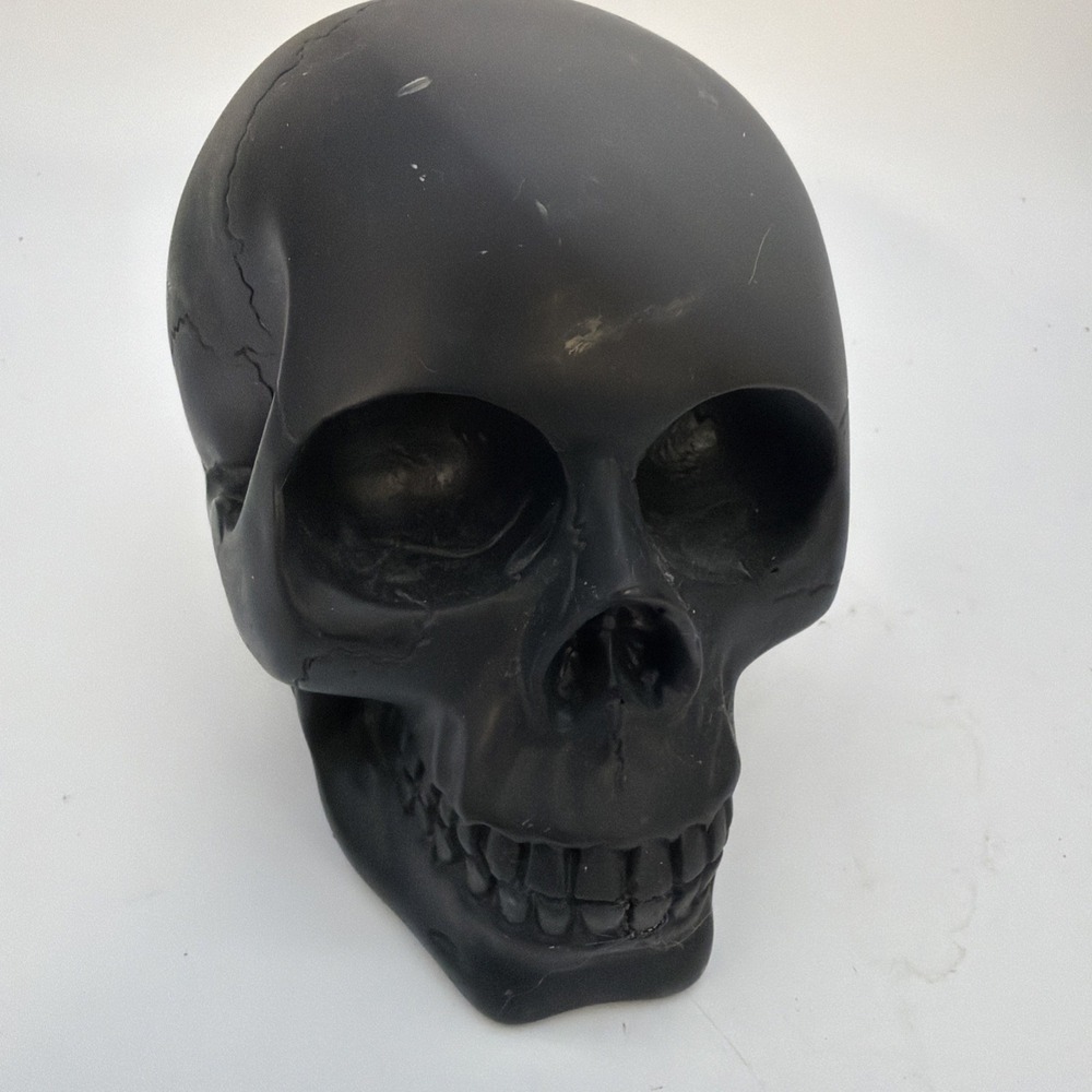 Flat Black Skull, Human Skull, Halloween, Gothic Decor, Oddities, Curiosities